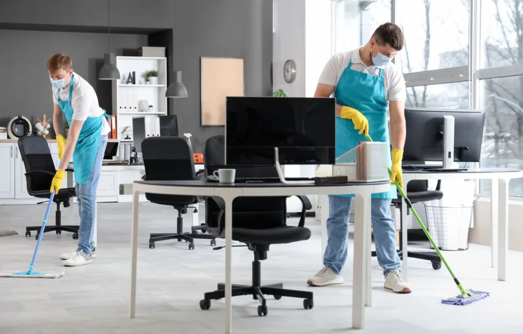 Sydney Professional Cleaning Services
